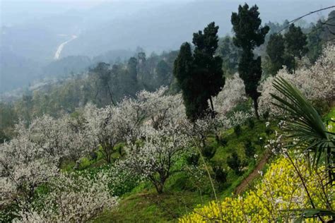 官帽山|蒲江樱桃山景区攻略（片区分布+路线+景点）